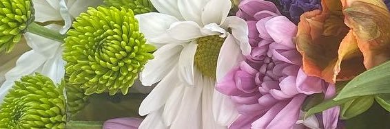 katie 🫶🏻 banner