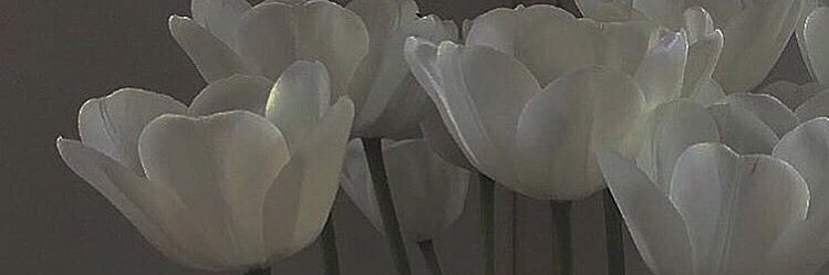 にす banner