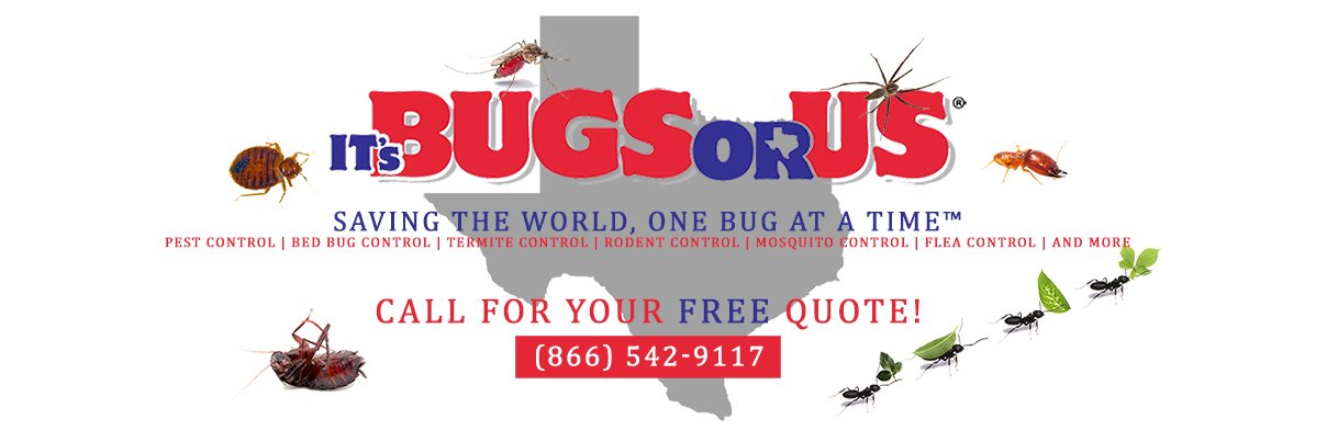IT's Bugs Or Us (@TexasBugsOrUs) / Posts / X
