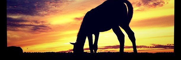 Akinorider's profile banner image