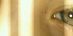 TunSuat's profile banner image