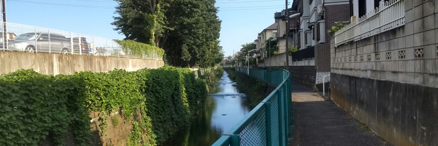 まねき猫🐉⚾🚴 banner