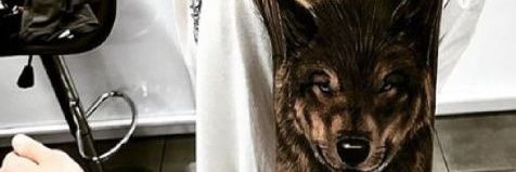 alanbritoJr's profile banner image