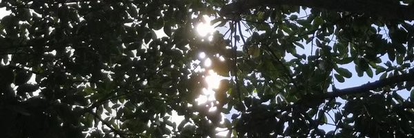 SandWichA55 Profile Banner