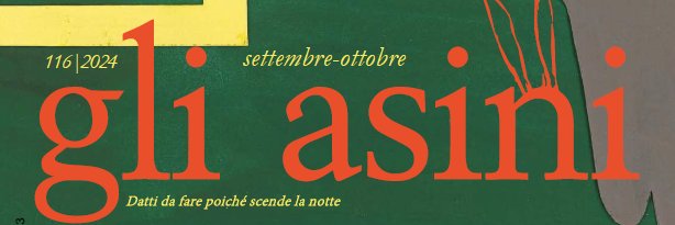 Gli asini banner