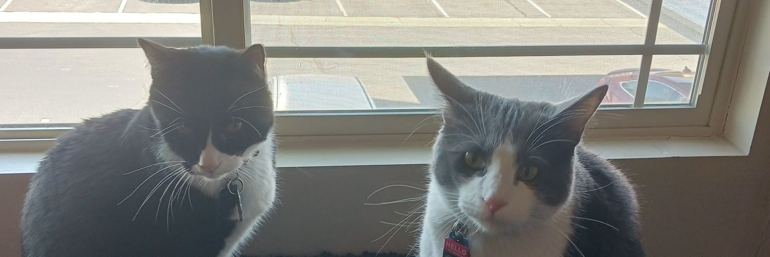 emnemily's profile banner image