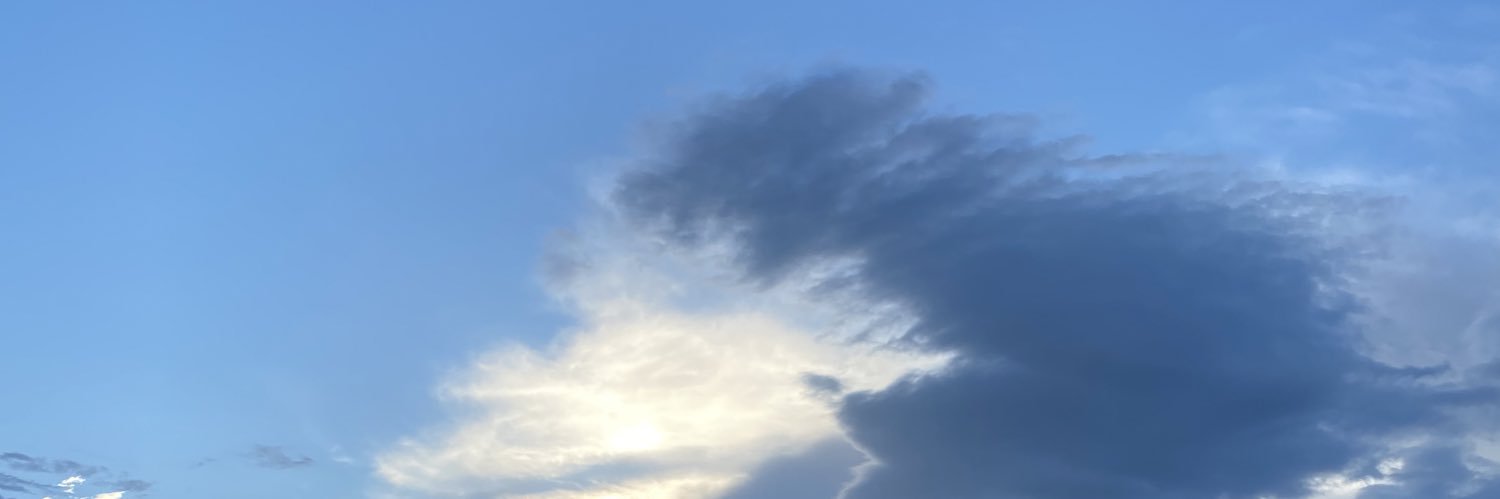 P double e m banner