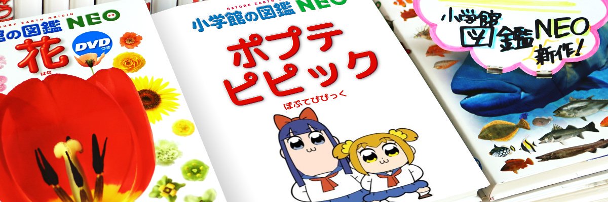 PP6400's profile banner image