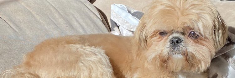 opnneto's profile banner image