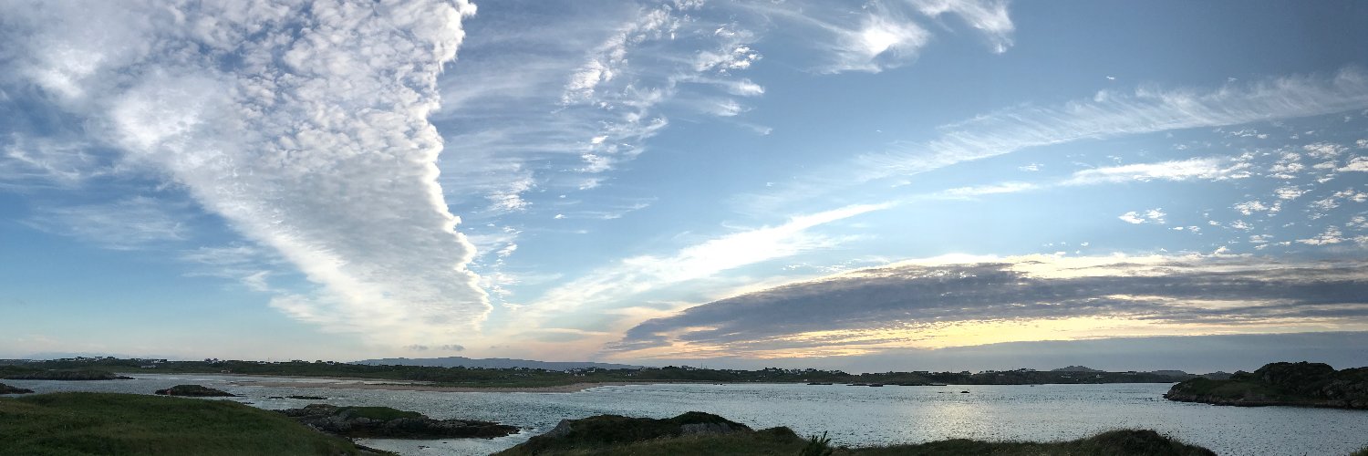 Bridget Doogan banner