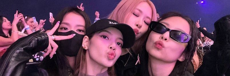 natshaschuett banner