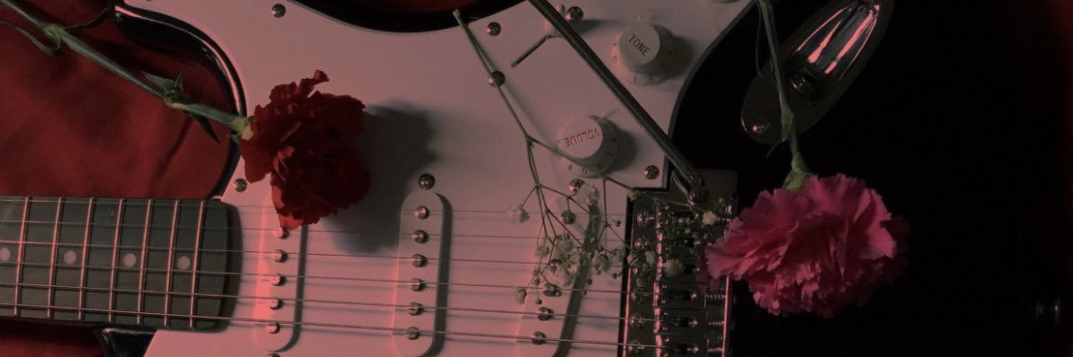 swiminstars's profile banner image