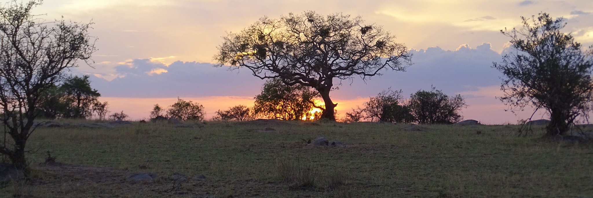 greggwillinger's profile banner image