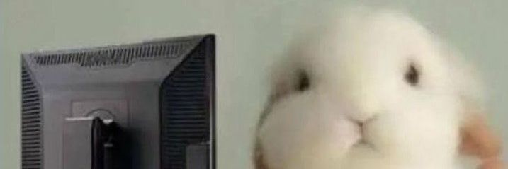 Claudia (mariska ✨️) banner