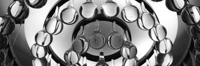 Shani C. Taylor banner