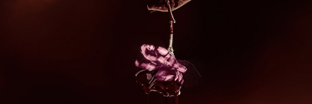 Candeece Kenlock banner