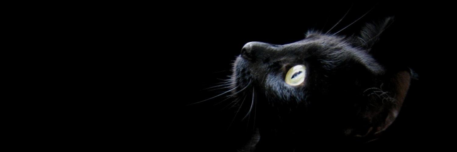 bezgaliiga's profile banner image