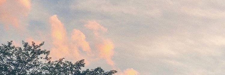PAPIE :) banner