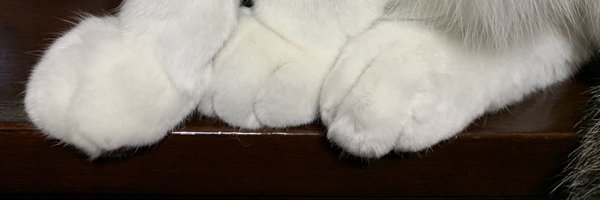 tamuocafe Profile Banner