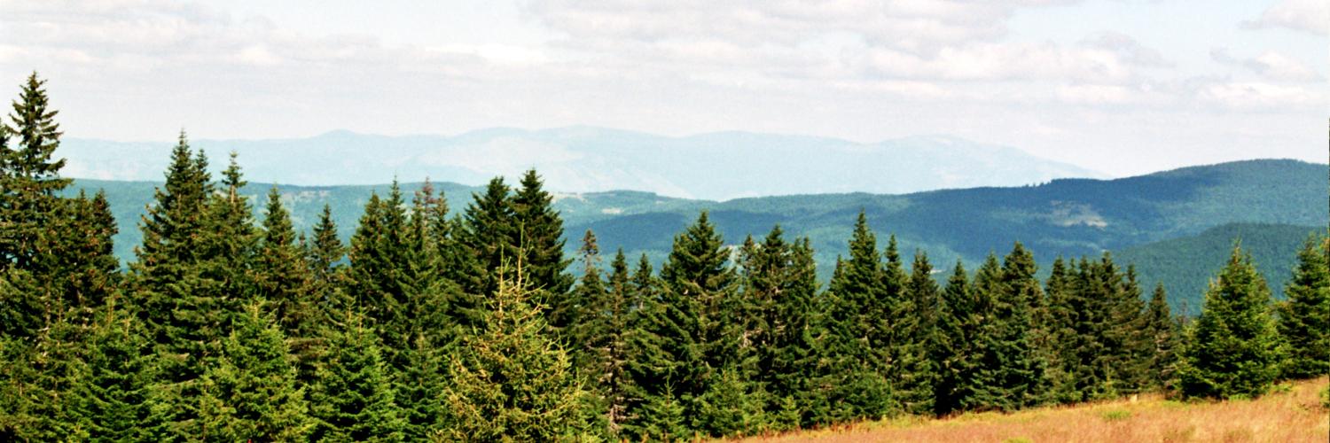 VTankosic's profile banner image