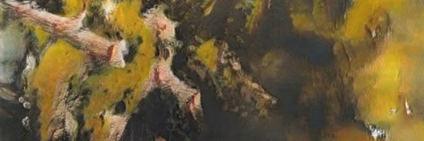 lethherald Profile Banner