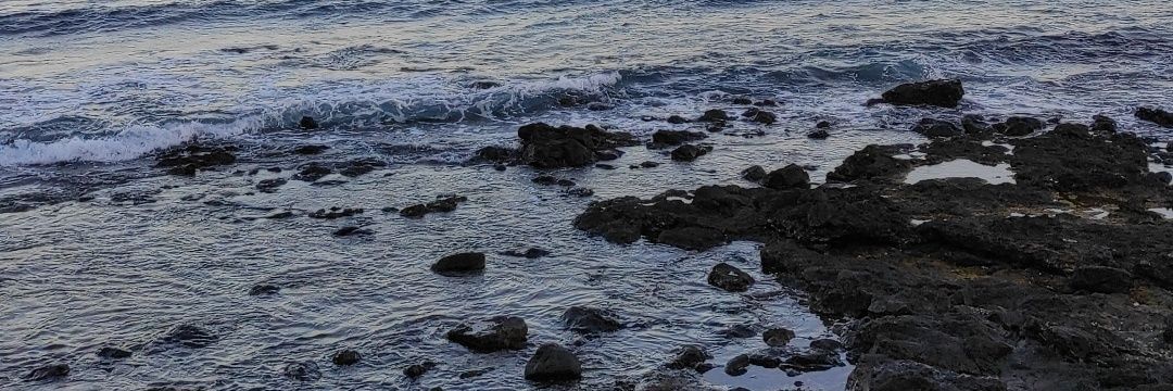 InmaArtiles1's profile banner image