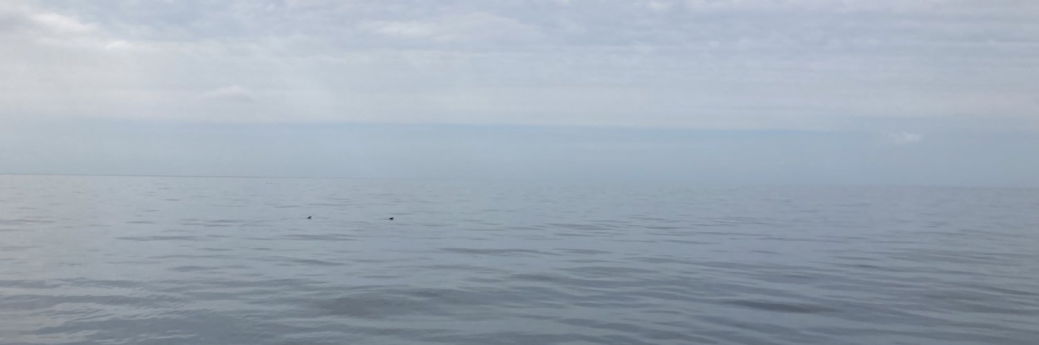 btdrawer's profile banner image