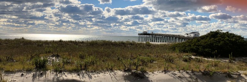 ❌ Jersey Tarheel3 ⭐️⭐️⭐️ banner