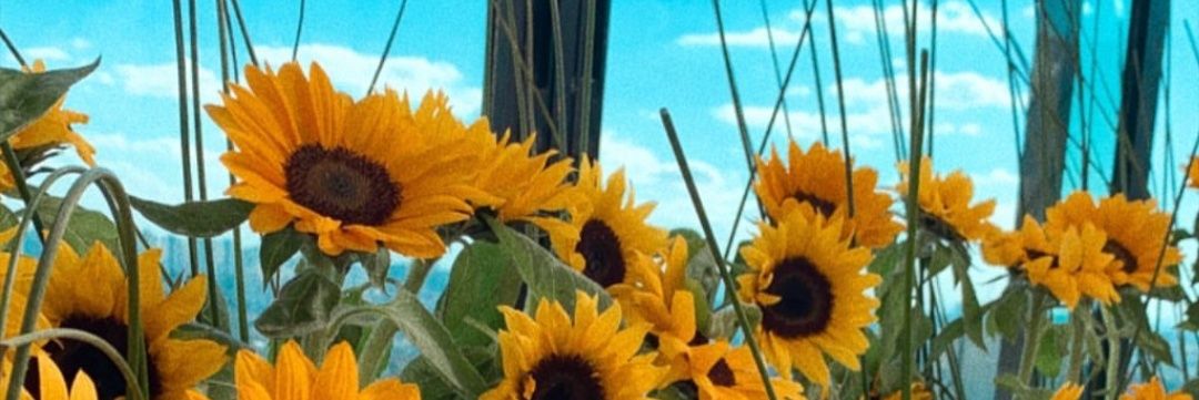 thassi_anny's profile banner image