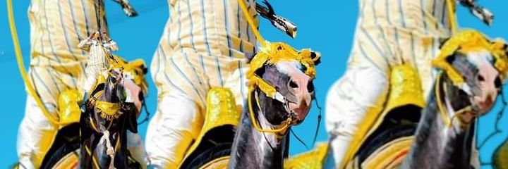 fatymatoo's profile banner image
