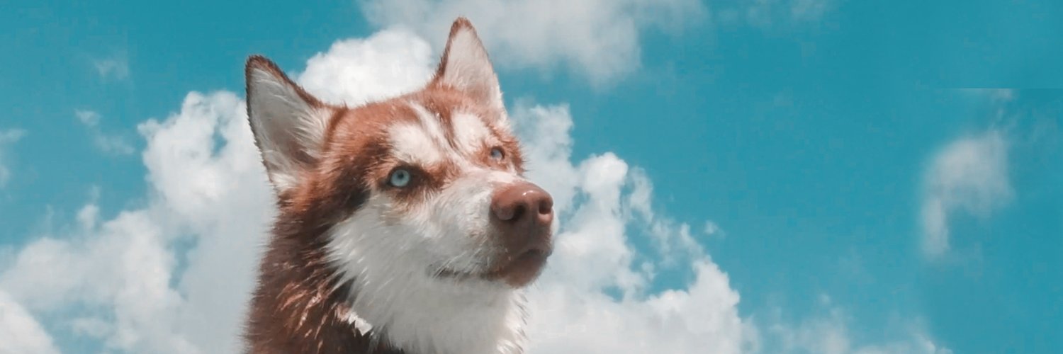 debuett_'s profile banner image