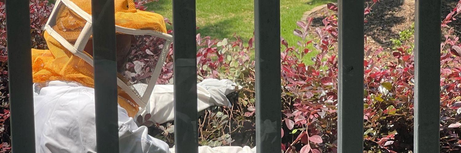 evansbugman's profile banner image