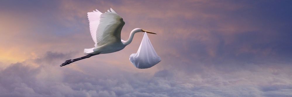 kyletwiterpost's profile banner image