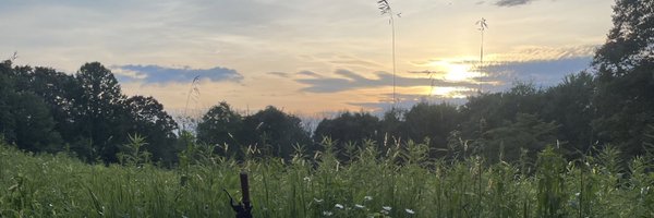aDistraction420 Profile Banner
