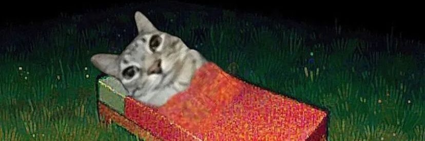 Dank Niel ಠ⁠ᴥ⁠ಠ (out of coins 🪙🚫) banner