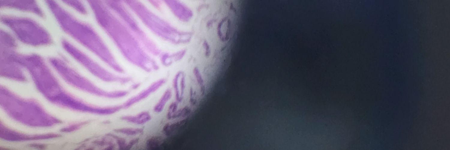 andreacosta501's profile banner image