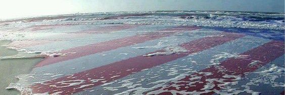 Terry_Wilson's profile banner image