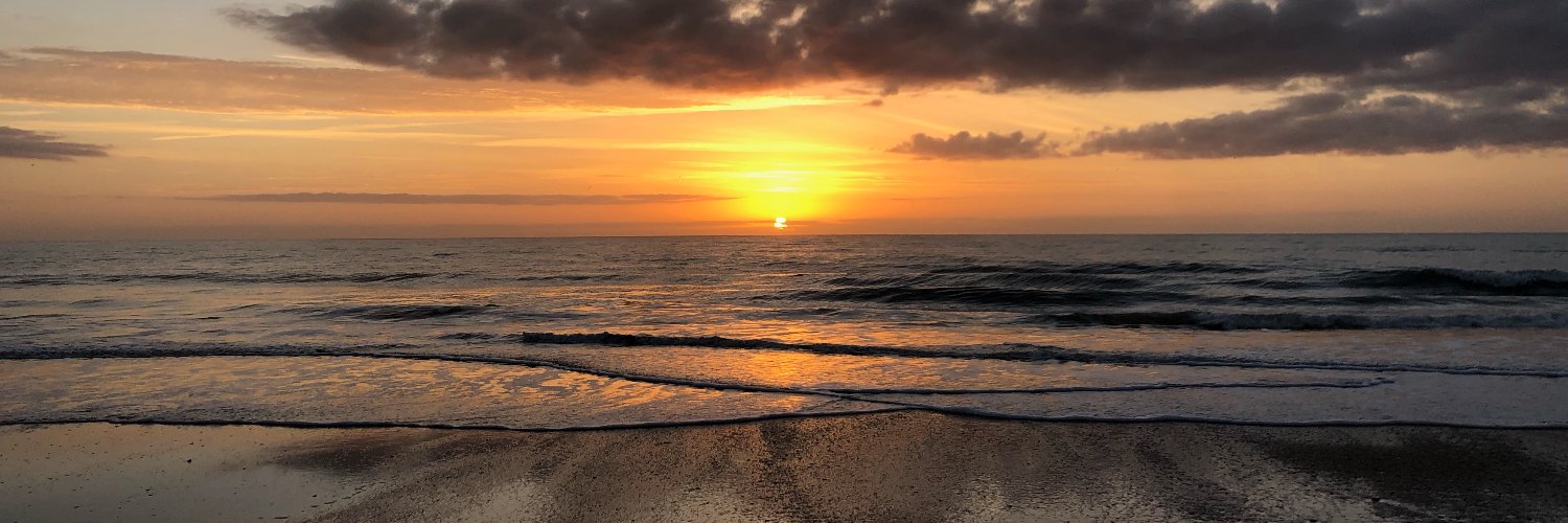 Ena Jones 📚 banner