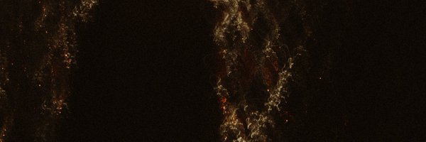 SarahHickeyMus Profile Banner