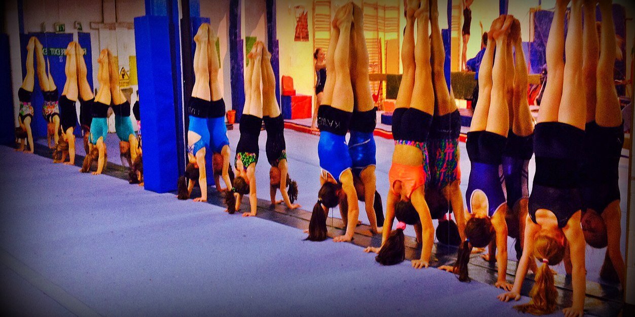oldbawngym's profile banner image