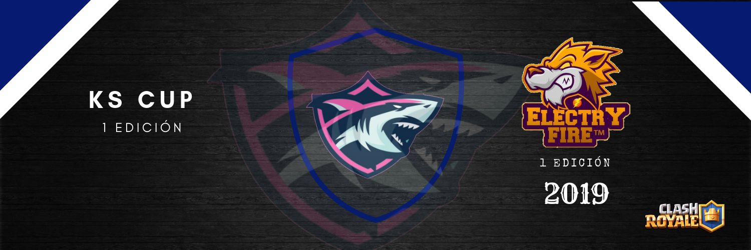 KS Cup banner