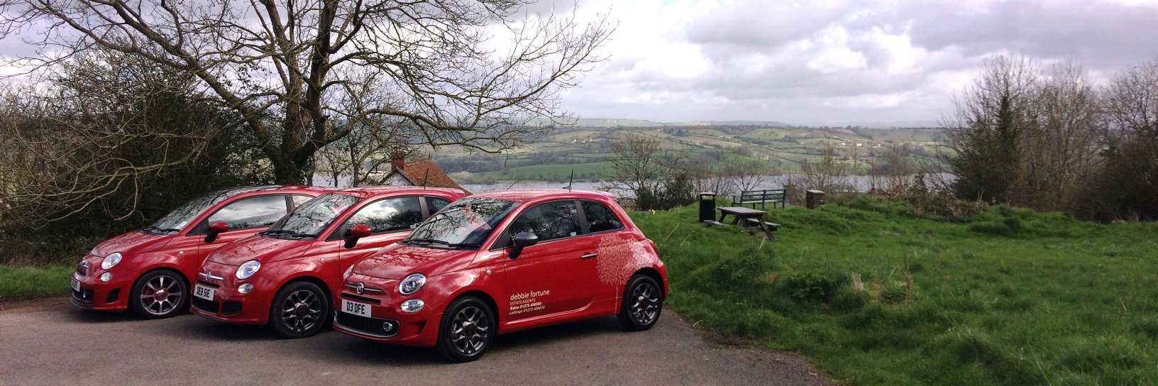 Debbie Fortune Estate Agents banner