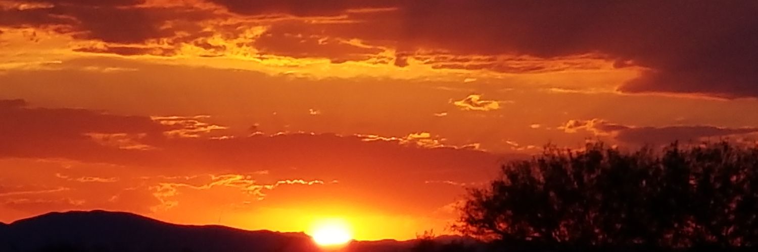 Your Huckleberry banner