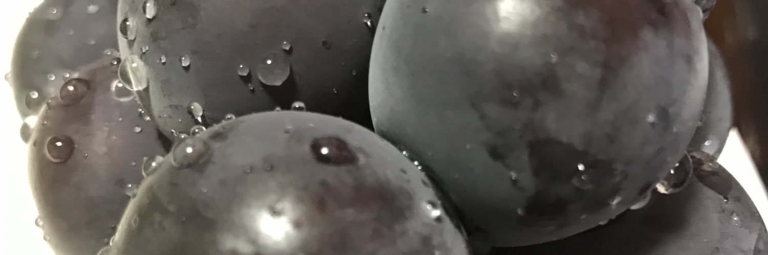 mongyuu's profile banner image