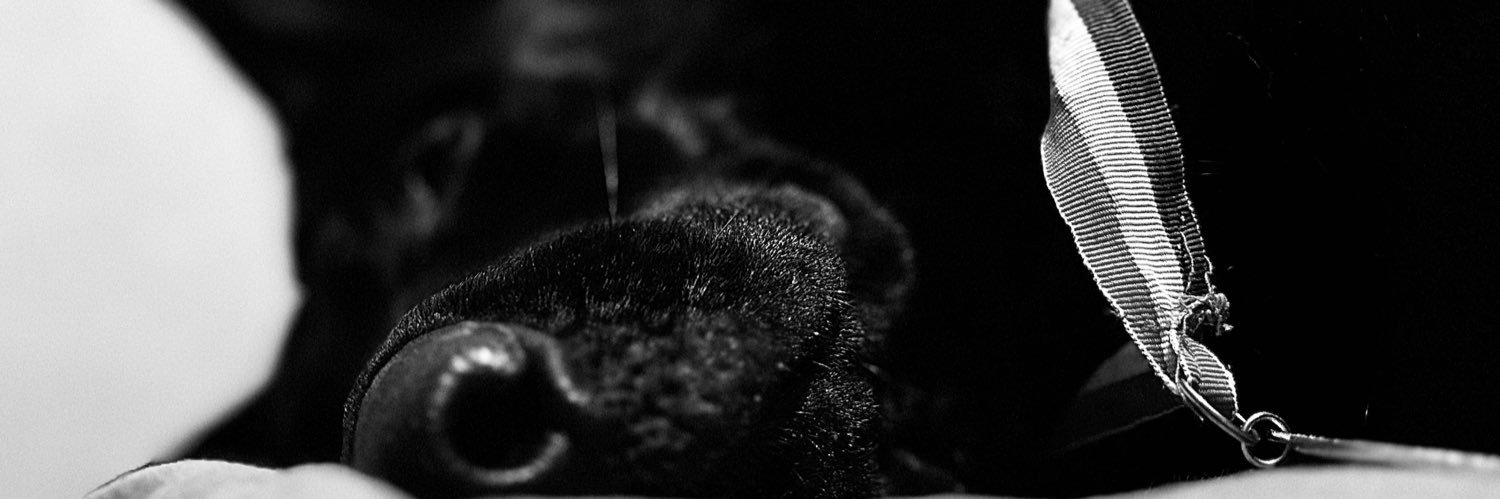 SxleneDprt's profile banner image