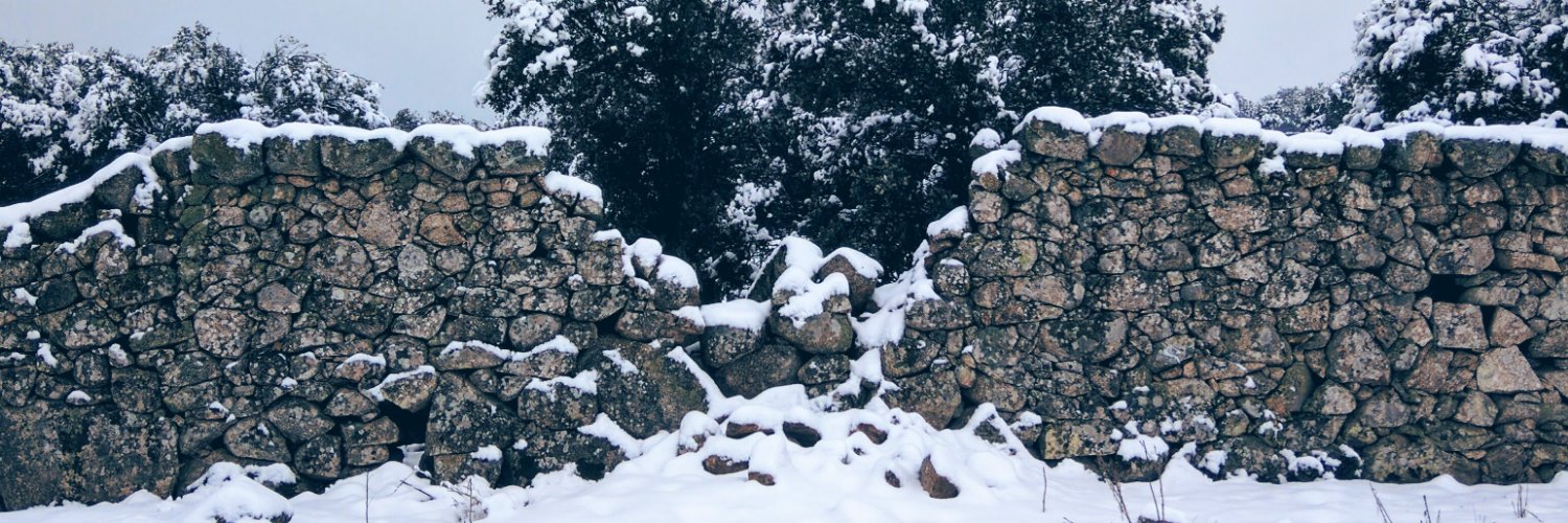 CGonzo_'s profile banner image