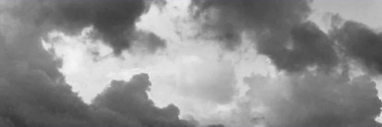 Evaxx007's profile banner image