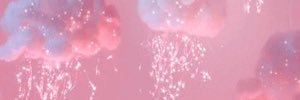 Spicylils's profile banner image