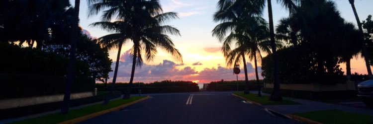Emily_Agnello's profile banner image