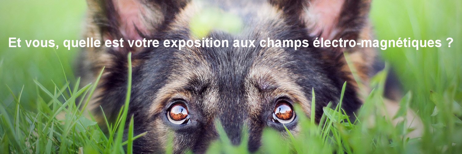 demain_conseils's profile banner image